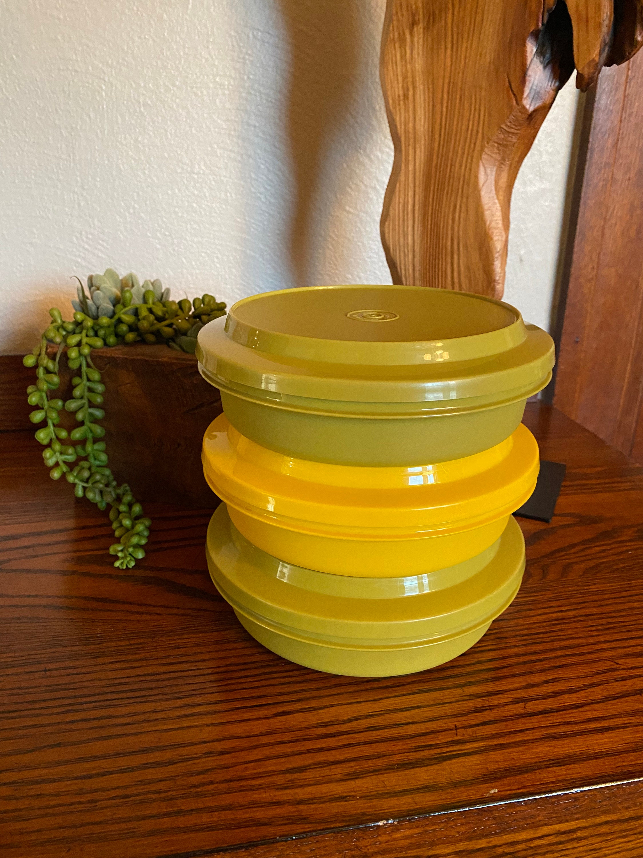 Vintage Tupperware Seal N Save Storage Bowls 1980s
