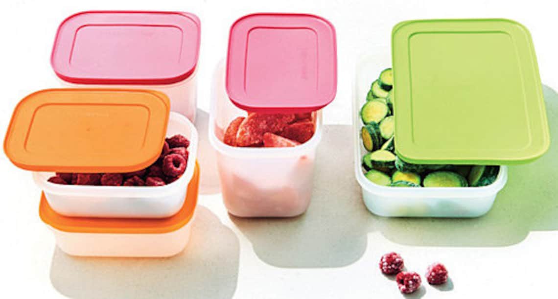 Tupperware Alaska Series Deep Freeze Storage Container Set of Etsy