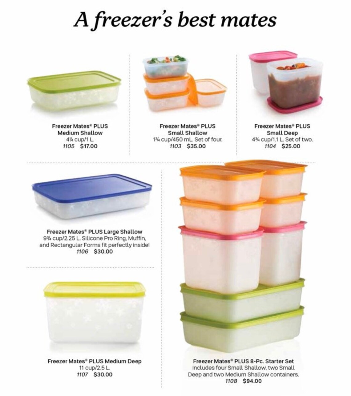 Tupperware Alaska Series Deep Freeze Storage Container Set of Etsy
