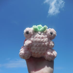 Crochet Fluffy Strawberry Frog