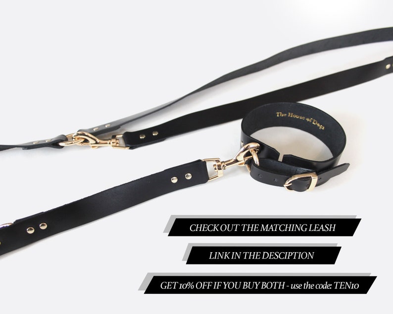 matching leash available wide fit collar Black leather dog collar with gold ring unique and unusual kinky choker with Buckle closure