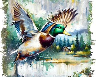 Pato png, camuflaje png, niño png, caza png, ánade real png, entorno rural png