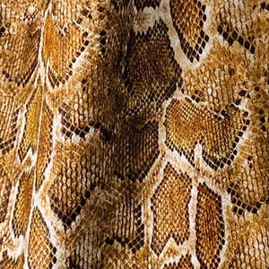 May include: Close-up of a brown and tan snakeskin pattern. The pattern is made up of small, overlapping scales.