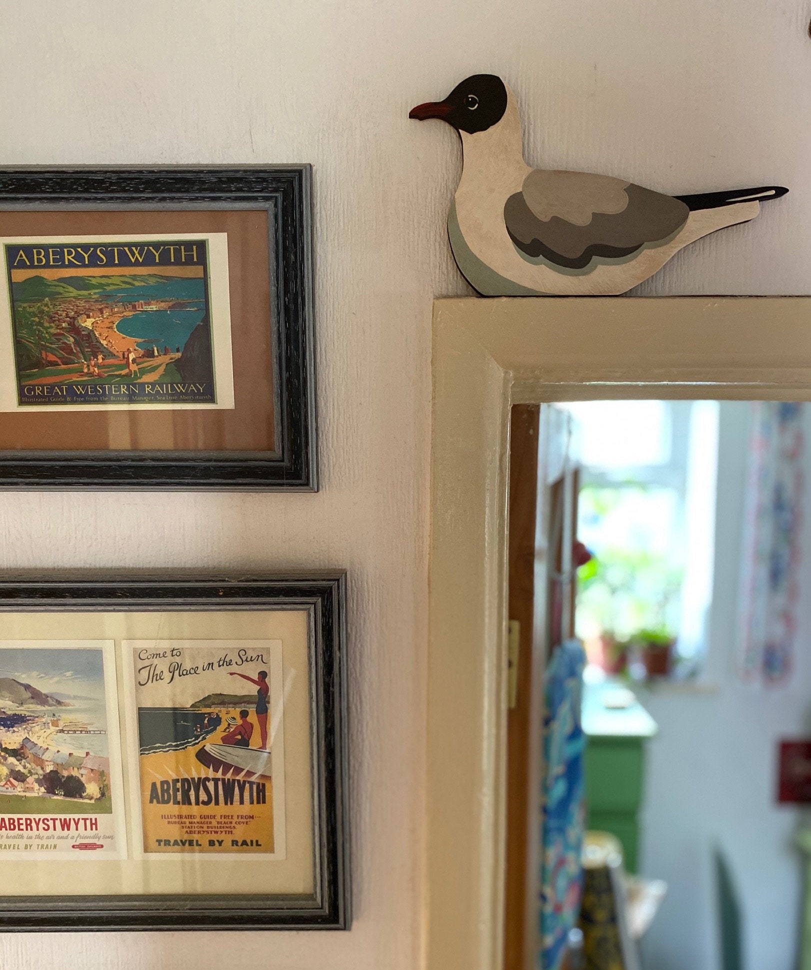 Door Frame Black Headed Gull
