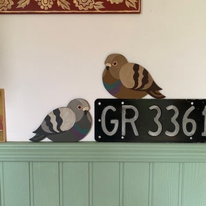 Door Frame Pigeon (grey or brown)