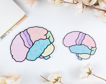 Op de afbeelding: Twee pastelkleurige hersenstickers met de verschillende kwabben gelabeld. De grotere sticker is roze, blauw, groen en geel. De kleinere sticker is roze, blauw en groen. Beide stickers bevinden zich op een witte achtergrond.