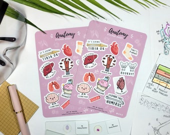 Anatomy Sticker Sheet | Medicine, Pre-med, Science | Bullet Journal, Agenda, Planner