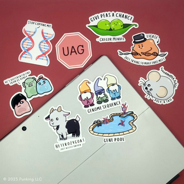 Genetics Pun Stickers | Science, Biology, Genetics, Pre-med | Water Bottles, Laptops