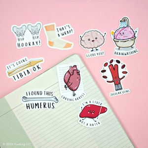 Anatomy Pun Stickers | Science, Anatomy, Medical, Nursing | Water Bottles, Laptops