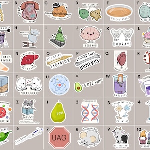 May include: A set of 40 colorful stickers featuring science-themed illustrations and puns. The stickers are arranged in a grid of 10 rows and 4 columns. Each sticker has a different design, such as a cell phone, a liver, a bone, a beaker, a pear, a DNA strand, a neuron, a graduated cylinder, a stop sign, and a gnome. The stickers are perfect for adding a touch of humor and science to your laptop, water bottle, planner, or notebook.