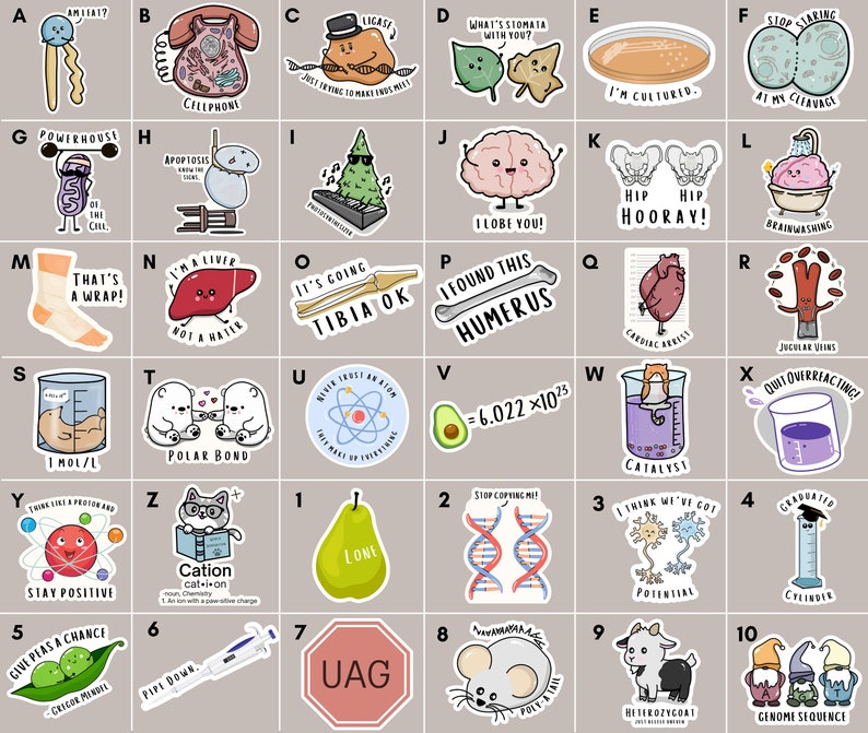 May include: A set of 40 colorful stickers featuring science-themed illustrations and puns. The stickers are arranged in a grid of 10 rows and 4 columns. Each sticker has a different design, such as a cell phone, a liver, a bone, a beaker, a pear, a DNA strand, a neuron, a graduated cylinder, a stop sign, and a gnome. The stickers are perfect for adding a touch of humor and science to your laptop, water bottle, planner, or notebook.