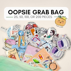 Oopsie Grab Bag | Stocking Stuffer | Mugs | STEM, Funny Science