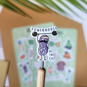 May include: A sticker of a purple cartoon mitochondrion with a mustache and a headband lifting weights. The sticker says "Powerhouse of the Cell".