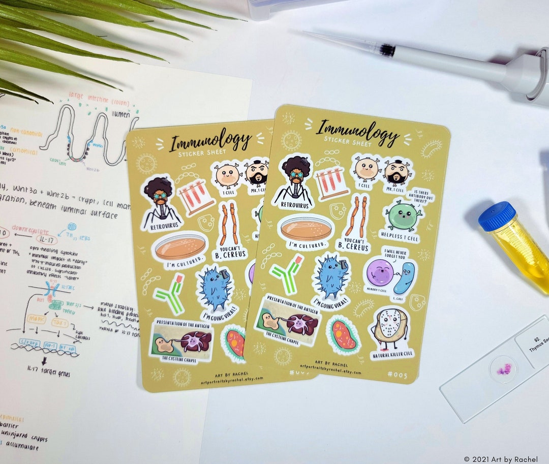 Immmunology Sticker Immunology Sticker Sheet | Science, Microbiology, Biology | Bullet ...
