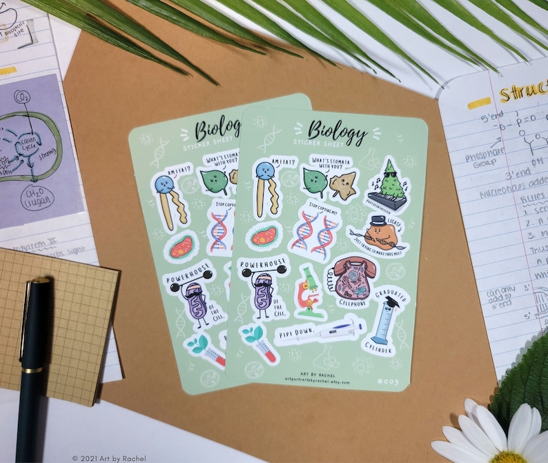 May include: A set of two sticker sheets with a green background and illustrations of biology-related concepts. The stickers feature a variety of colorful characters and objects, including a cell, a DNA molecule, a graduated cylinder, and a plant cell. The text on the stickers includes phrases like "What's Stomata with You?" and "Powerhouse of the Cell."