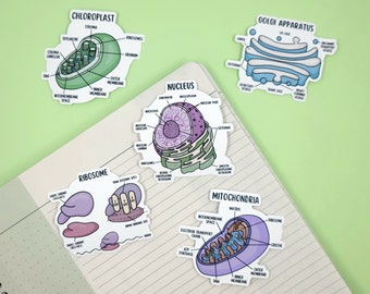 Cell Organelles | 5 Stickers or Magnets | Science, Pre-med, Lab