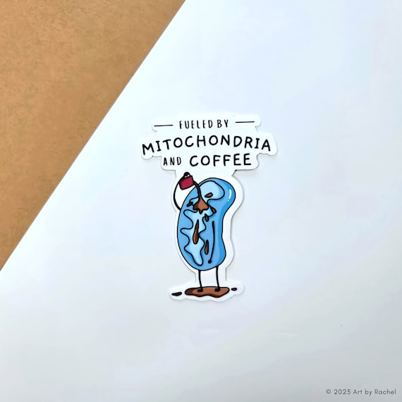 Mitochondria and Coffee | Sticker or Magnet | Science, Biology, Pre-med |  Laptops, Water Bottles
