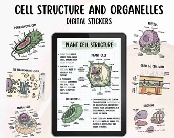 Cell Structure and Organelles | Digital Stickers | PNG File Download | Note-Taking, Studying, Planning