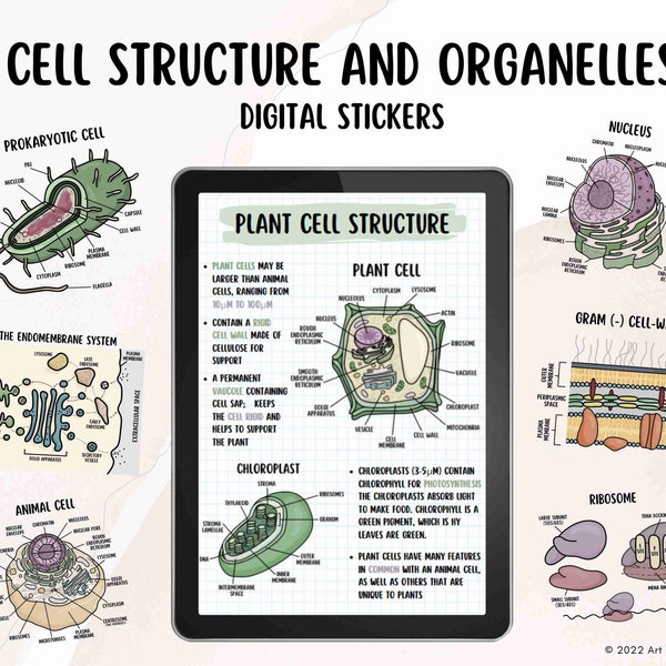 Cell Structure and Organelles | Digital Stickers | PNG File Download | Note-Taking, Studying, Planning