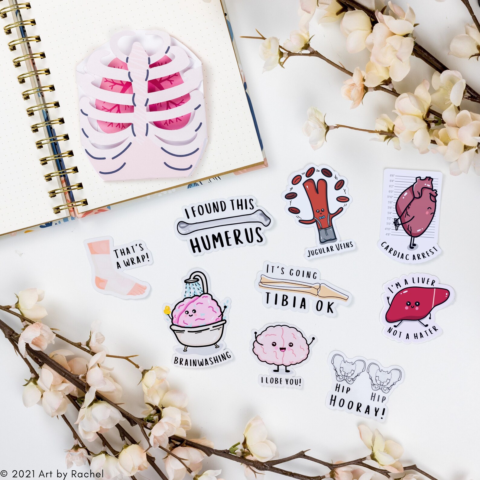 Anatomy Pun Stickers Science Anatomy Medical Nursing Etsy