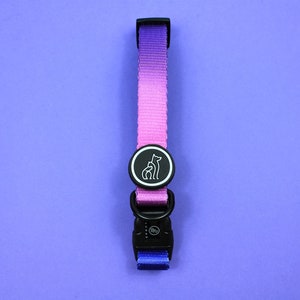 May include: A purple and pink ombre dog collar with a black buckle and a black circular tag featuring a white silhouette of two dogs.