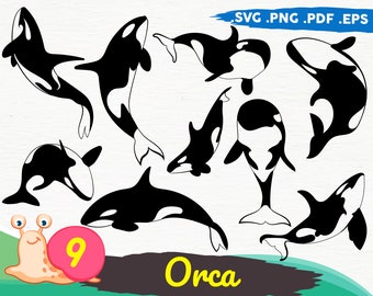Download Orca Svg Etsy