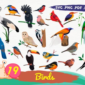 Vögel Svg, Vögel Svg, Vögel Bündel Svg, Vögel Svg-Dateien für Cricut, Vögel Silhouette, Vögel Clipart, fliegende Vögel Svg, fliegende Vögel, Druck-Datei, Svg
