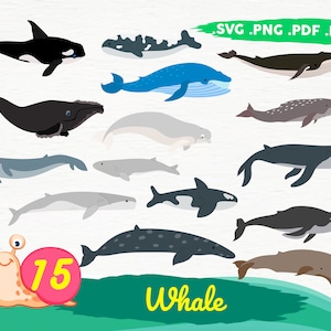 whale bundle svg ,whale svg, whale clipart,ocean svg , whale vector , whale cut file, whale bundle svg,whale silhouette,print file,printable