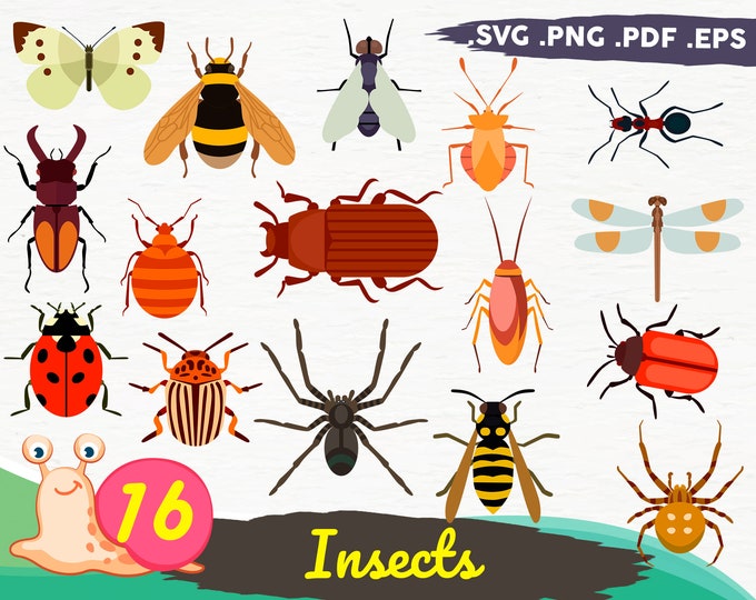 Bug SVG Bundle, Insect SVG Bundle, Bugs SVG, Butterfly Svg, Bee Svg ...