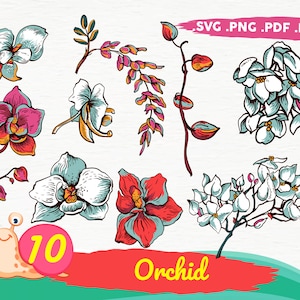 Orchid svg,Orchid print,flower svg,garden svg,gardening svg, floral svg,botanical svg,silhouette,Orchid branch Silhouette flowers,print file