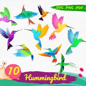 Hummingbird SVG Bundle, Humming bird svg,bird svg, Hummingbird png, Hummingbird eps,Hummingbird vector,Hummingbird,print file,svg file,svg