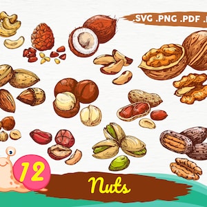 Nuts svg,nut svg bundle, nutcracker svg, nuts vector, silhouette nut, walnut vinyl file, walnut svg files, walnut clipart, iron-on, cut file