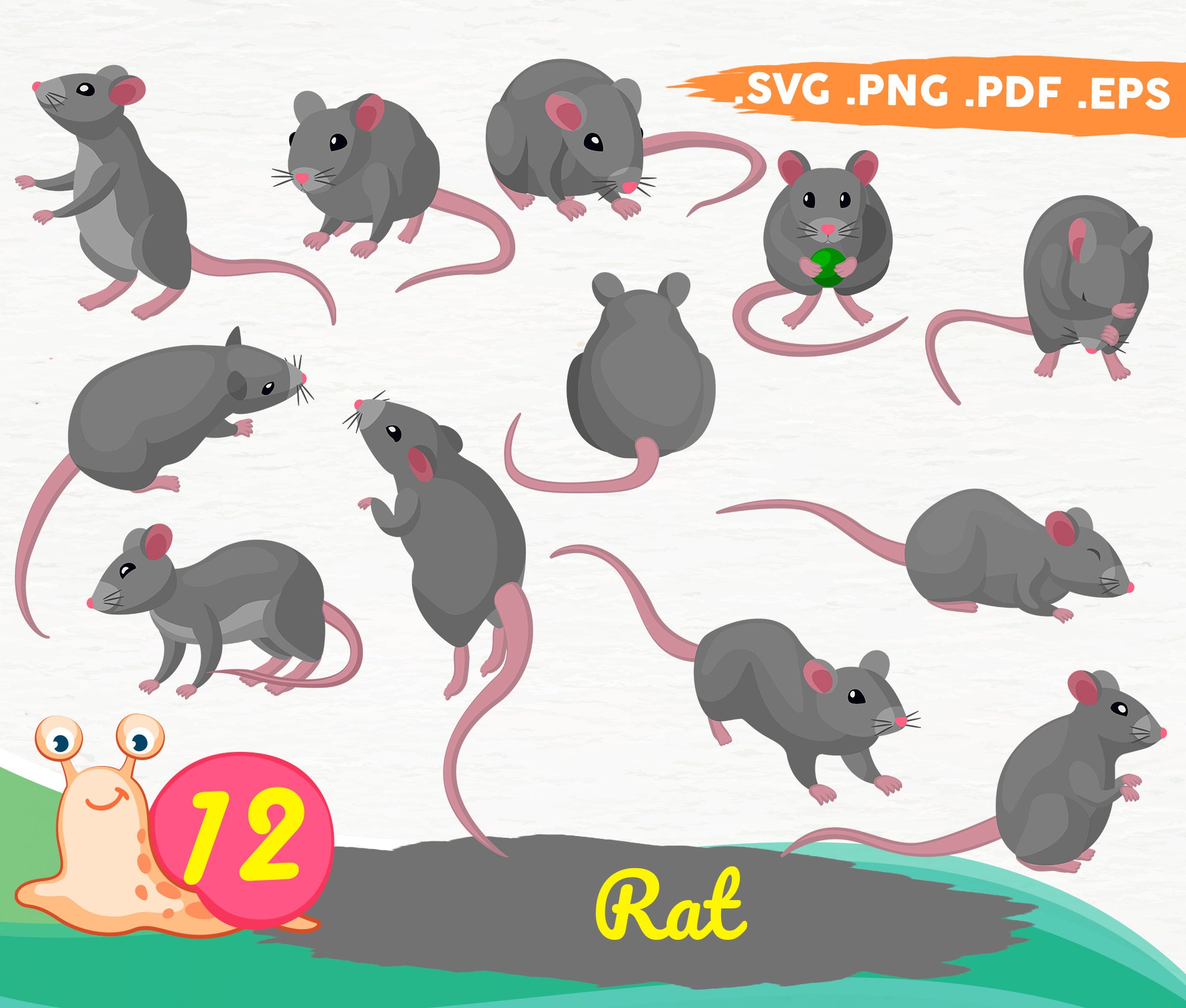 Cute Rats For Sale lupon.gov.ph