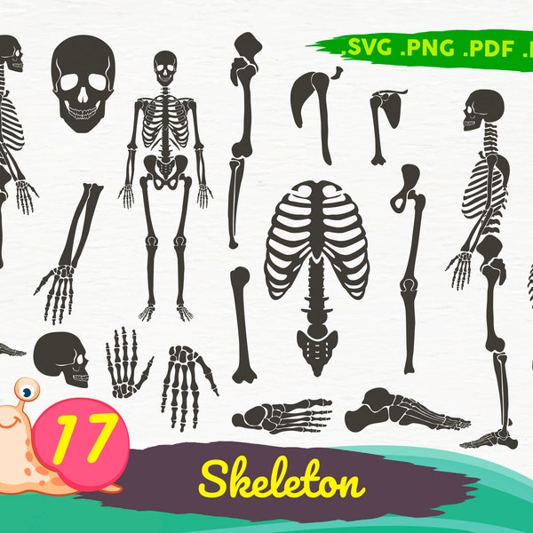 SKELETON PARTS SVG, Skeleton svg, Skeleton parts png, Skull svg, Cricut Cut Files, Skeleton Cut Files, Skeleton Bones Clipart svg,print file