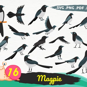 Magpie svg,Magpie Bird SVG Files , bird bundle, Flying Bird SVG, Sitting Bird SVG, Silhouette Studio, Magpie Drawing,Magpie Clipart, fichier d’impression