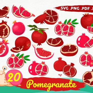 Granatapfel Svg, Granatapfel PNG, Granatapfel Vektor Clipart, Granatapfel geschnitten Datei, Granatapfel, Granate, Druckdatei, Obst, druckbare, Svg-Datei