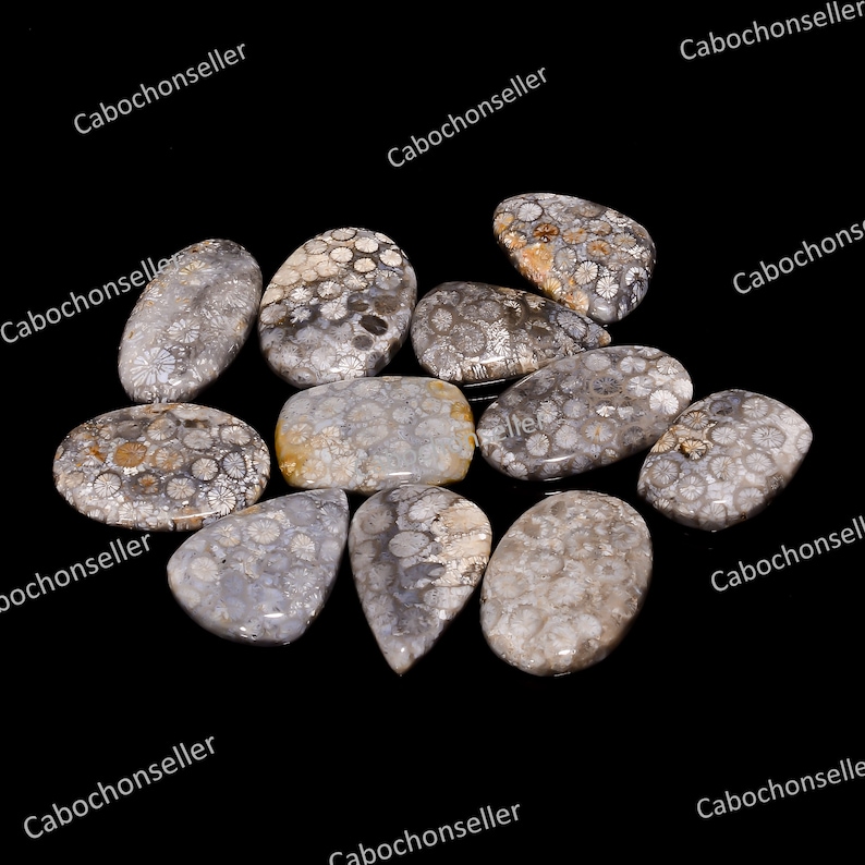 Designer Fossil Coral Natural Fossil Coral Cabochon Lot Very Rare Fossil Coral Gemstone Wholesale Lot Fossil Coral for Wire wrapping,