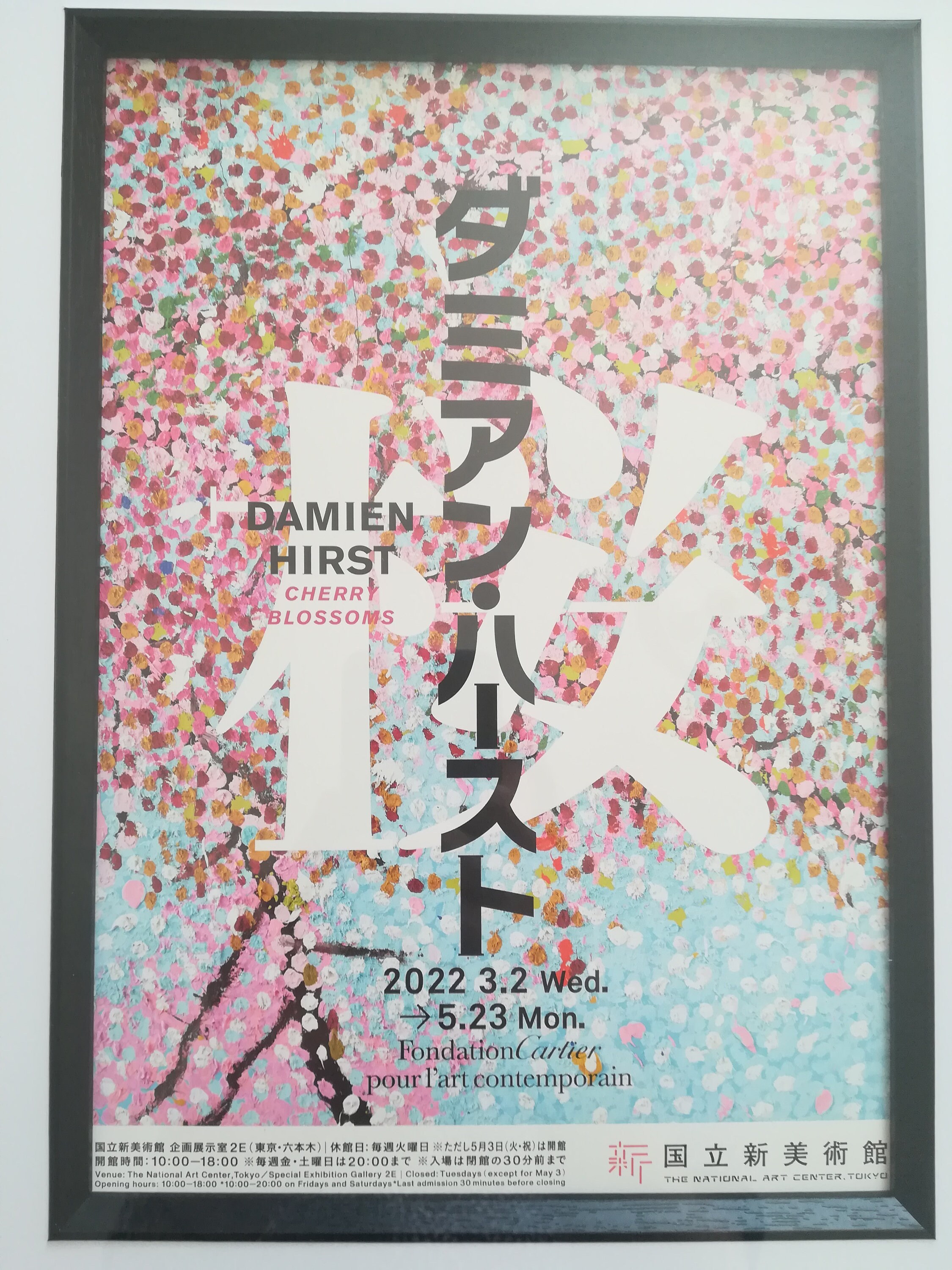 ダミアン・ハースト ポスター Ceremonial Blossom Amazon.co.jp: ダミアン・ハースト 桜ポスター ピンク レッド