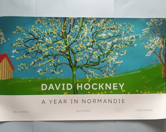 David Hockney: 20 Flowers and Some Bigger Pictures - Original