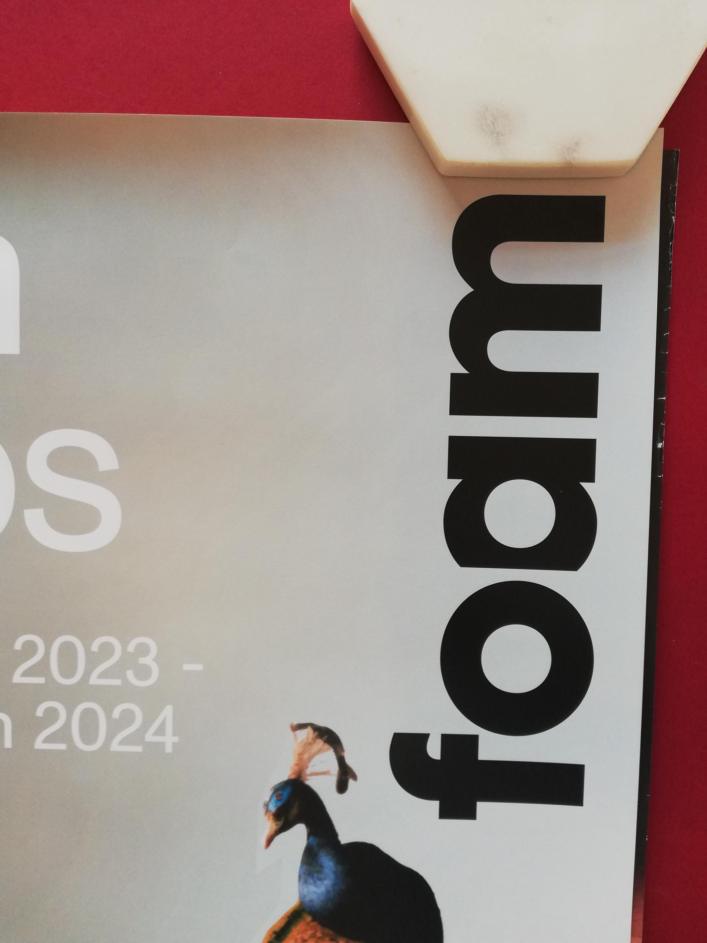 カーリン・ジェイコブス エキシビジョンポスター カーライン・ジェイコブスのポスター「ピーコック」 - Etsy 日本