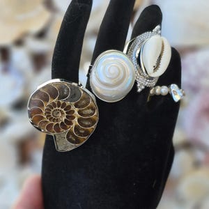 May include: A collection of rings featuring unique designs. One ring showcases a fossilized ammonite, another a pearlescent shell, and a third a cowrie shell. The rings are displayed on a black surface, with a blurred background of seashells.