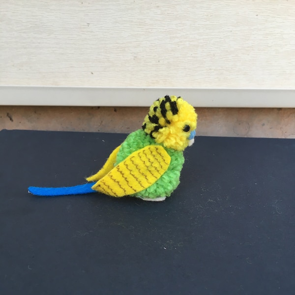 Pom Pom Budgie (Parakeet)