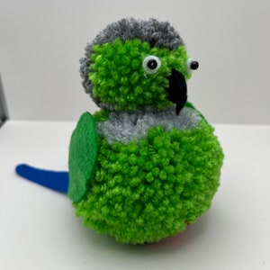 Pom Pom Green Cheek Conure