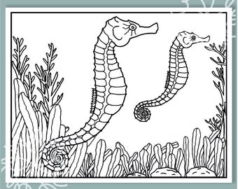Coloring page printable, Coloring page of seahorse, Coloring page for kids, Sea art, coral art, Ocean art, Digital download product