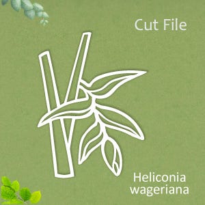 Heliconia PNG, Wildflowers SVG para cricut, Botanical SVG, Arquivos de corte, Floral lineart, Ilustração clipart, Flores tropicais, Produto digital