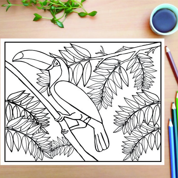 Coloring page for adults, Coloring pages, Coloring page for kids, Toucan bird, PDF Download, Jungle Art Printable, Jungle art