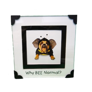 May include: A framed photograph featuring a bulldog dressed in a bee costume. The dog is wearing a black and yellow outfit with antennae and wings. The frame is white with black corner accents, and the text "Why BEE Normal?" is printed at the bottom.