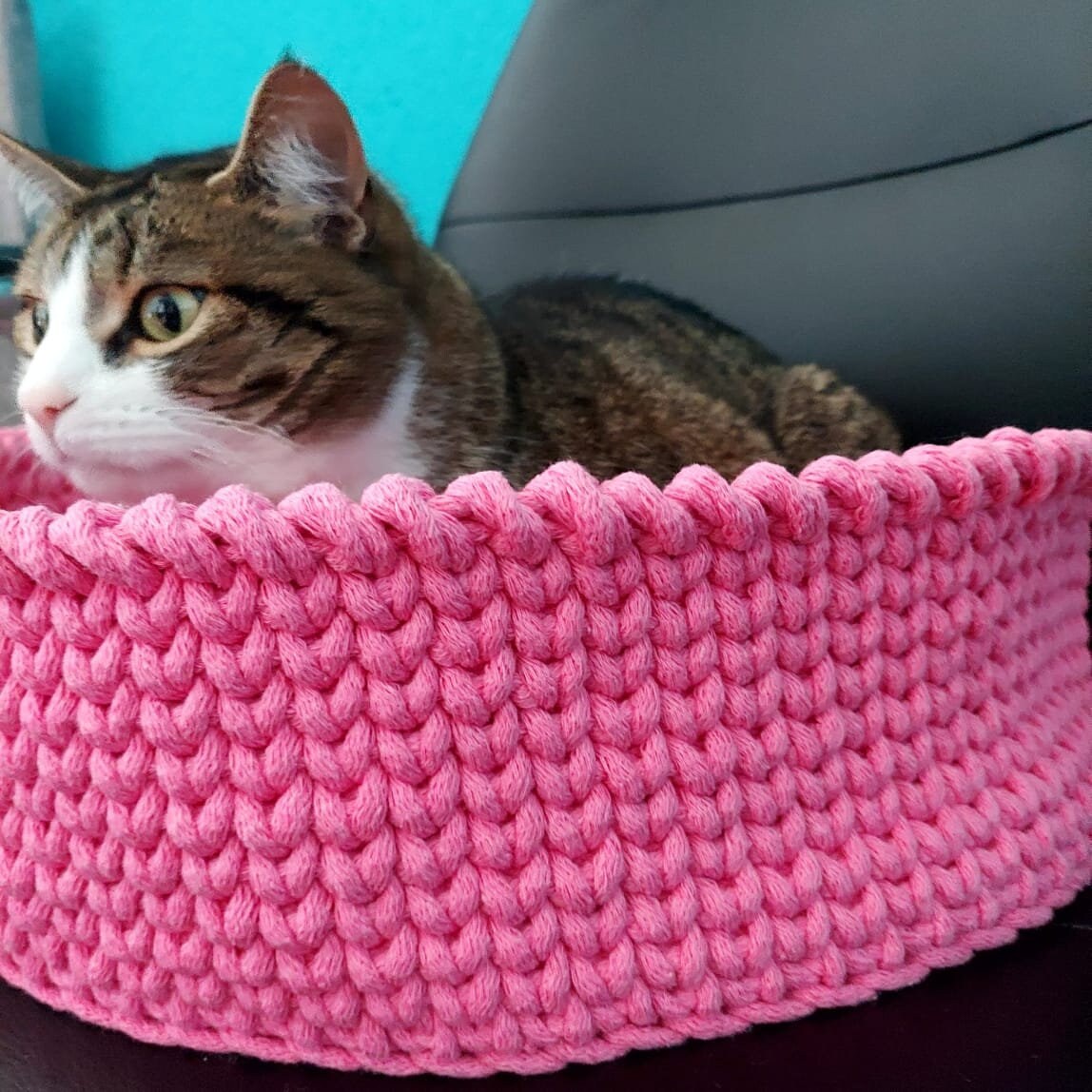 74 Colors. Large Cotton Bed. Animal Basket for Animals Bed Etsy UK