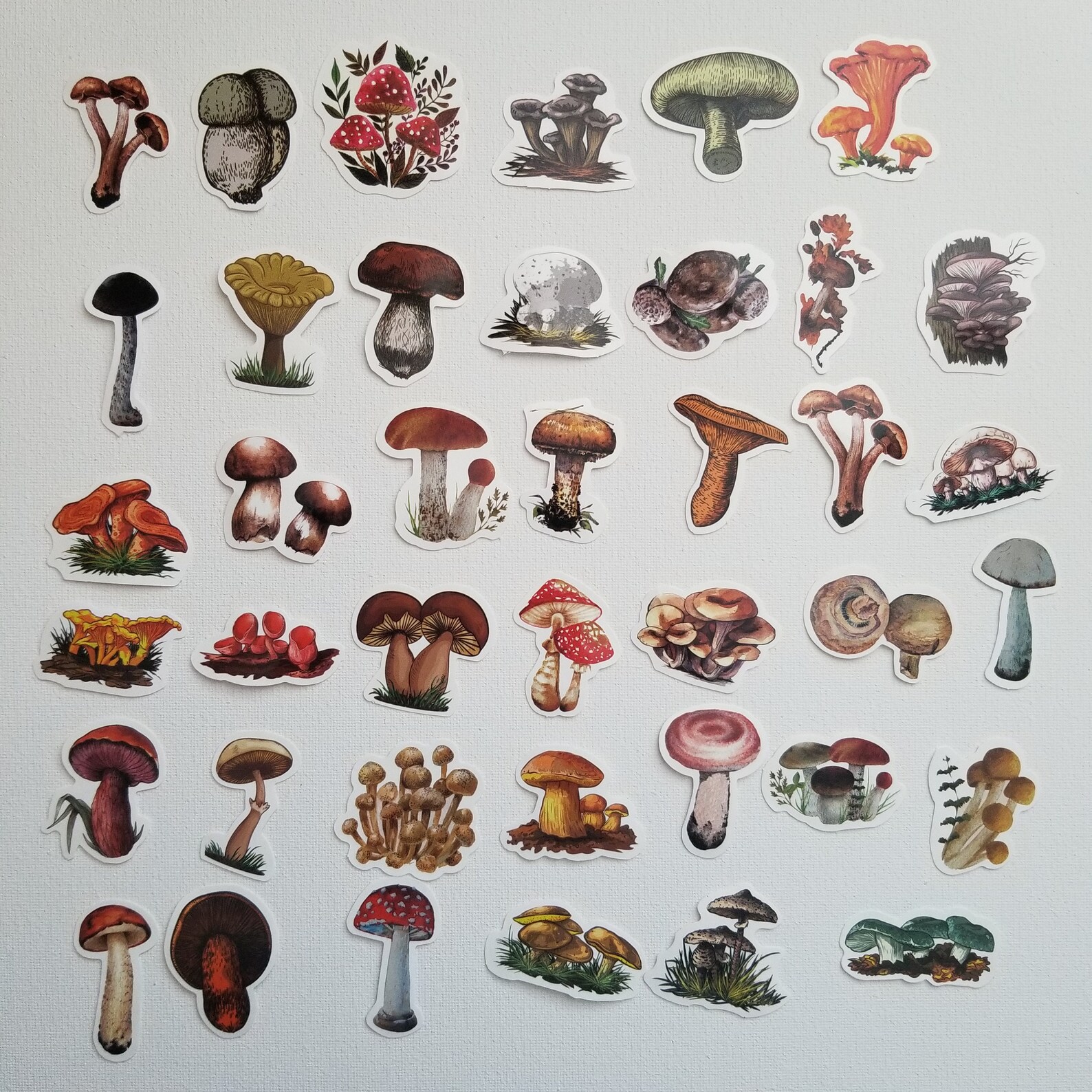 40pcs Mushroom Sticker Pack For Journaling Scrapbooking Etsy