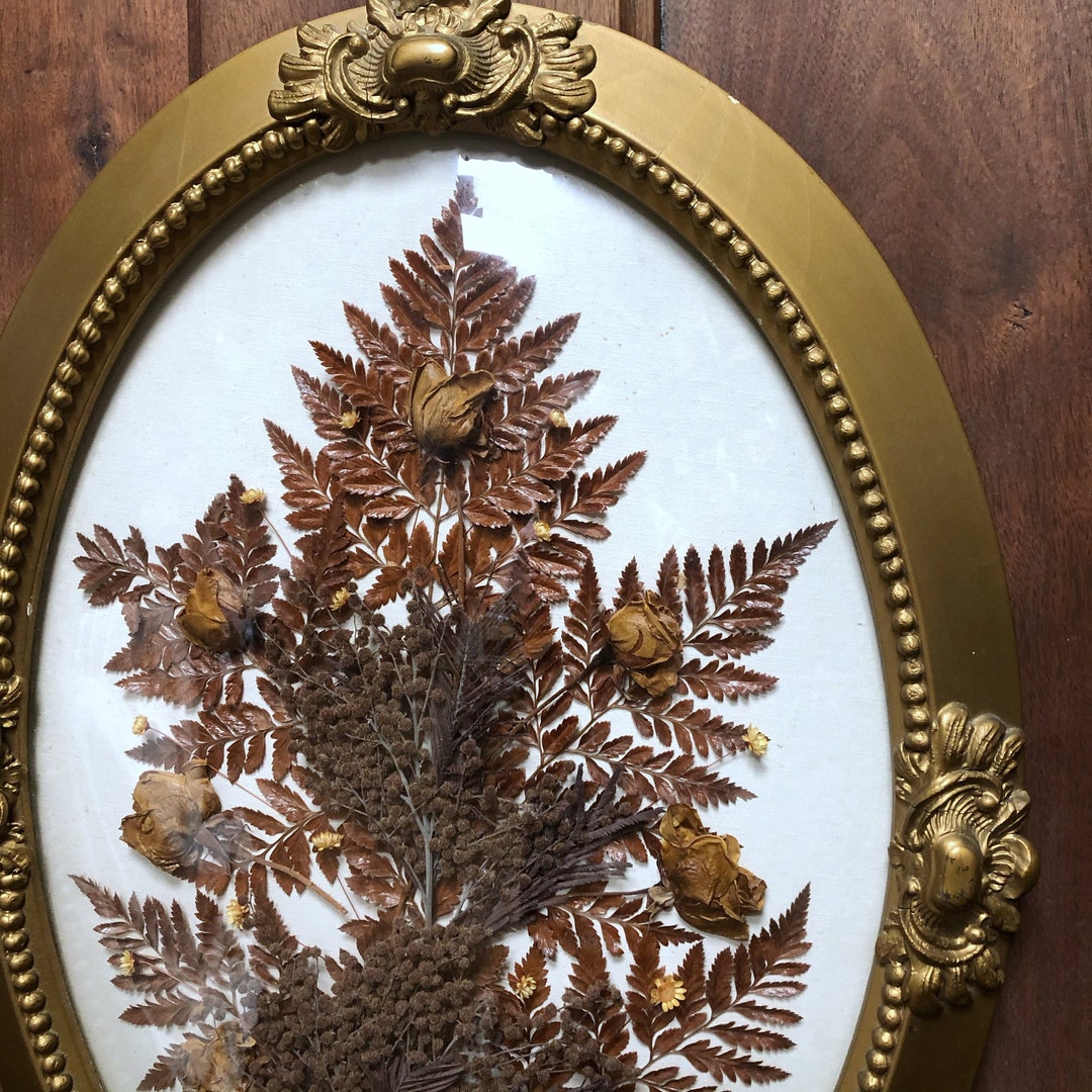 Large Vintage Dried Floral Art Fern/florals in Antique Oval Gold Frame